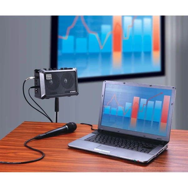 Roland Mobile Cube - Battery Powered Amplifier - Image 7
