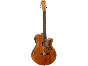 Tanglewood Performance Pro TW47 ASE