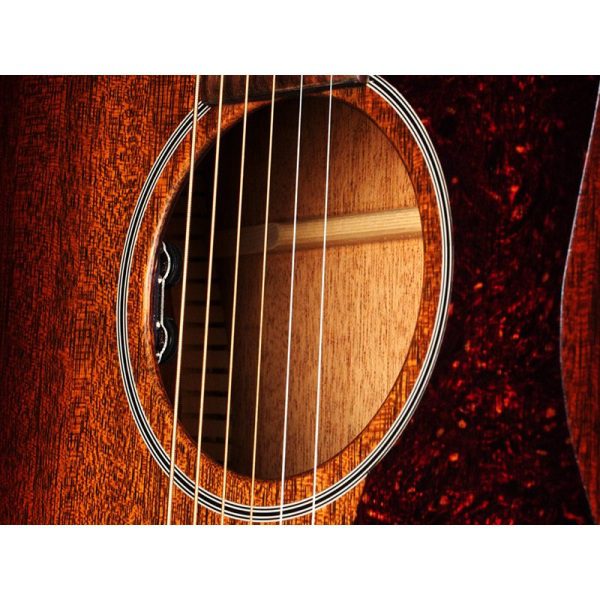 Guild USA D-20 - Image 2