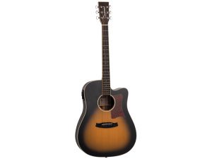 Tanglewood Winterleaf TW11 TS CE