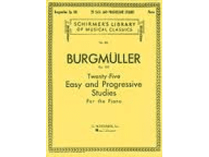 Burgmuller Twenty-Five Easy and Progressive Studies for the Piano. Op. 100