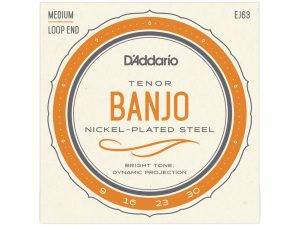 D'addario EJ63 Tenor (.09-.30) 4-String Banjo