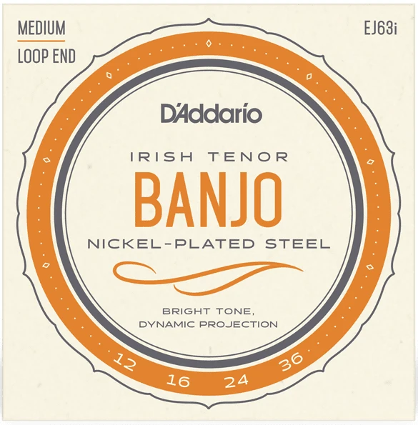 D'addario EJ63I Irish Tenor (.12-.36) 4-String Banjo