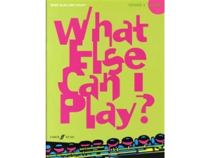 What Else Can I Play? Flute Grade 4