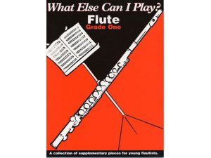What Else Can I Play? Flute Grade One - Mark Mumford