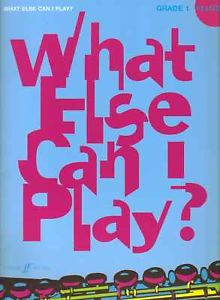 What Else Can I Play? Flute Grade 1