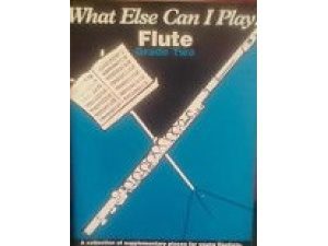 What Else Can I Play? Flute Grade 2 - Mark Mumford