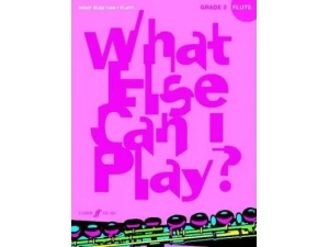 What Else Can I Play? Flute Grade 2