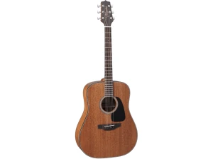 Takamine GD11M-NS
