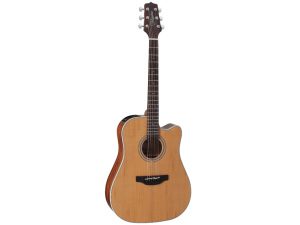 Takamine GD20CE-NAT