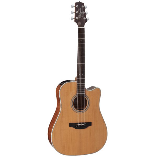 Takamine GD20CE-NAT