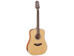 Takamine GD20-NAT