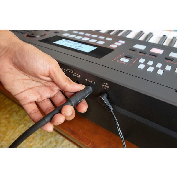 Roland E-X50 Arranger Keyboard - Image 5