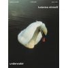 Ludovico Einaudi - Underwater