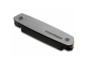 Fishman Neo-D Soundhole Pickup