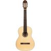Ortega R121 Classical Guitar Incl Bag