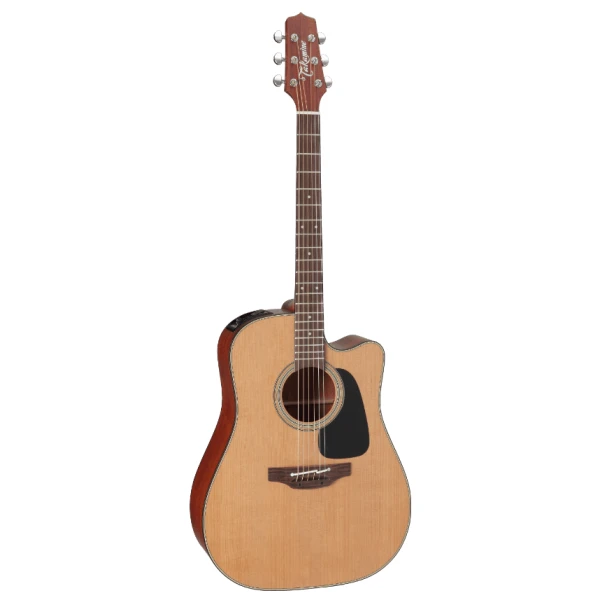 Takamine Pro Series P1DC