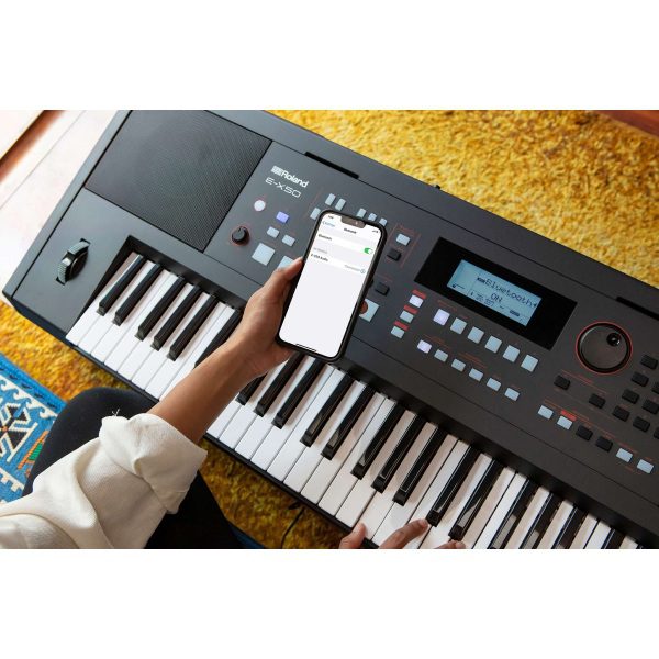 Roland E-X50 Arranger Keyboard - Image 6