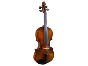 Hidersine Venezia 4/4 Violin Outfit