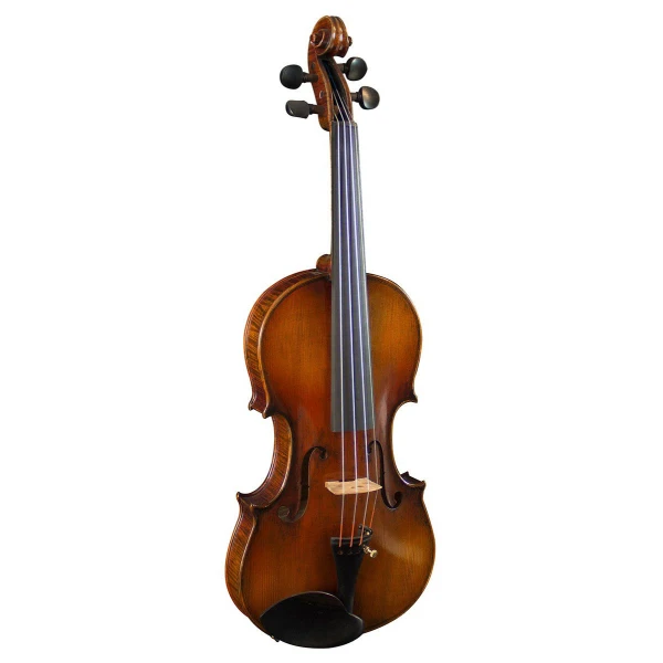 Hidersine Venezia 4/4 Violin Outfit