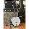 Tanglewood TWB 24 DLX 4-String Tenor Banjo