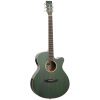 Tanglewood Winterleaf TW4 E FG - Green Gloss