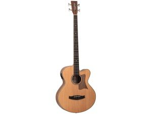 Tanglewood Reunion TRAB BW - Electro Acoustic Bass