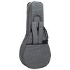 TGI Extreme Flatback Mandolin Bag - Image 3