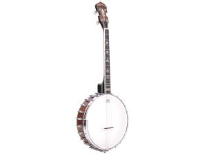 Gold Tone IT-250 Irish Tenor Banjo