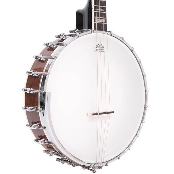Gold Tone IT-250 Irish Tenor Banjo - Image 3