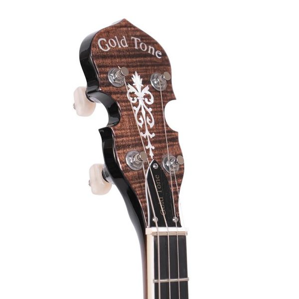 Gold Tone IT-250 Irish Tenor Banjo - Image 5