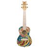 Ortega RUAR-HY Art Series Concert Ukulele - Catalpa Mystic India - Image 6