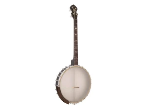 Gold Tone IT-19 - 19 Fret Tenor Banjo