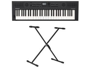 Roland - GO:KEYS 5 - Graphite w/Keyboard Stand