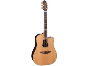 Takamine Signature Series GB7C - Garth Brooks