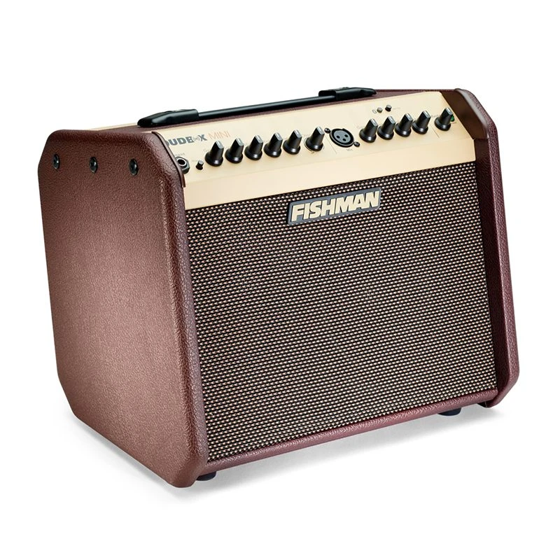 Fishman Loudbox Mini - Acoustic Amplifier - Image 5