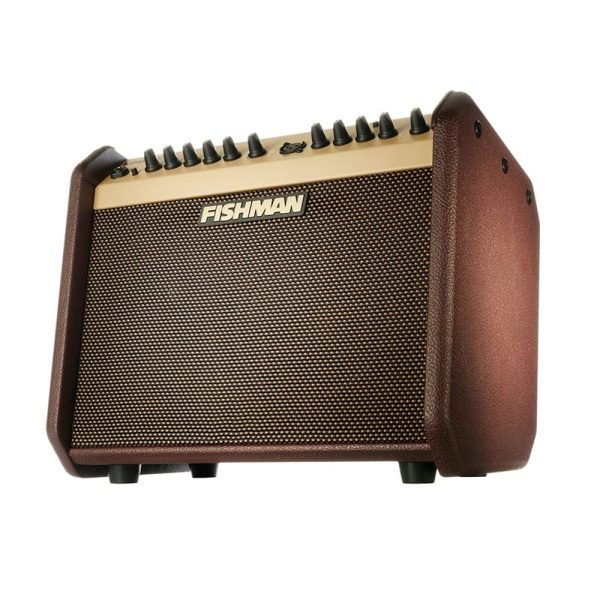 Fishman Loudbox Mini - Acoustic Amplifier - Image 2
