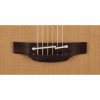 Takamine Pro Series P3NC Cutaway NEX/Grand Auditorium - Natural - Image 3