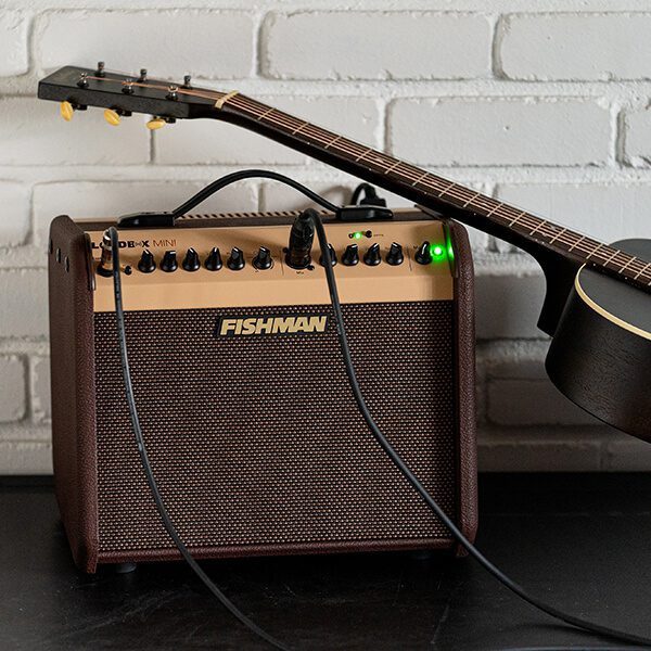 Fishman Loudbox Mini - Acoustic Amplifier - Image 9