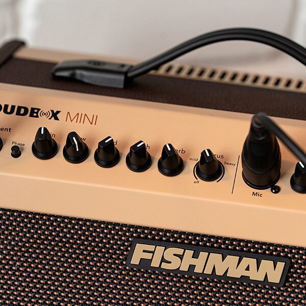 Fishman Loudbox Mini - Acoustic Amplifier - Image 10