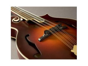 Fishman M-300 Nashville Series Archtop Mandolin Pickup