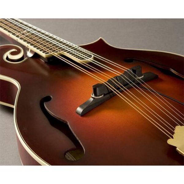 Fishman M-300 Nashville Series Archtop Mandolin Pickup