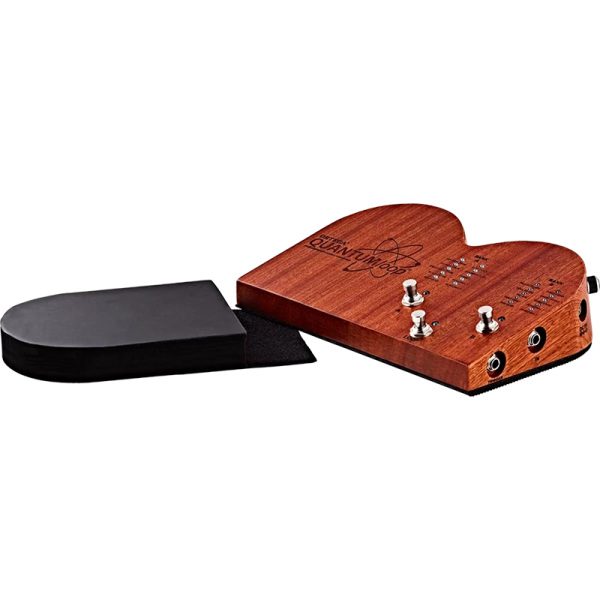 Ortega QUANTUMloop - Stomp Box With Looper - Image 4