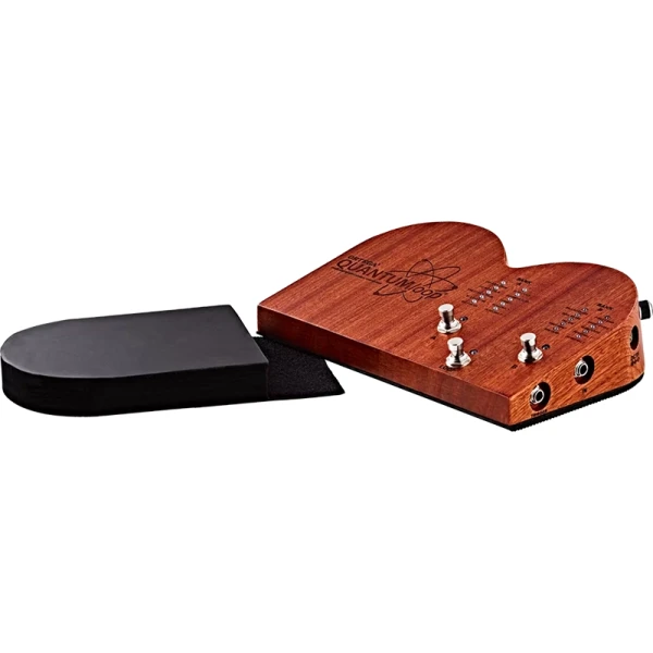 Ortega QUANTUMloop - Stomp Box With Looper - Image 4