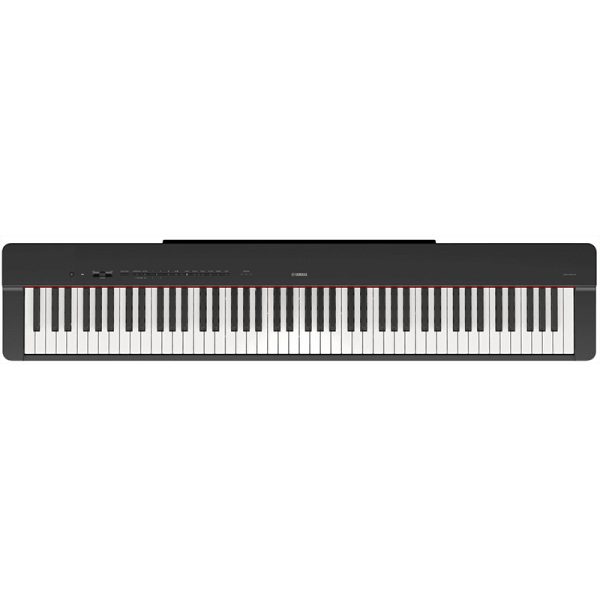 Yamaha P-225 Digital Piano w/Double Braced Keyboard Stand - Image 2