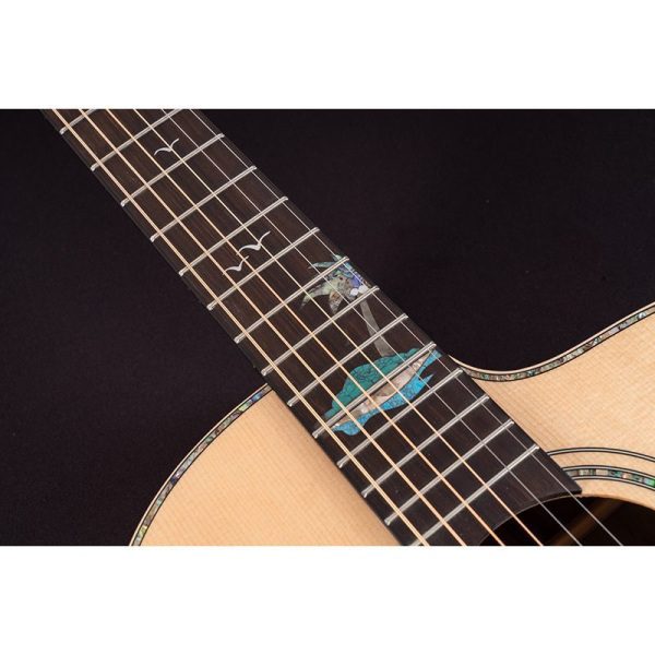 Washburn Allure SC56S Bella Tono - Image 6