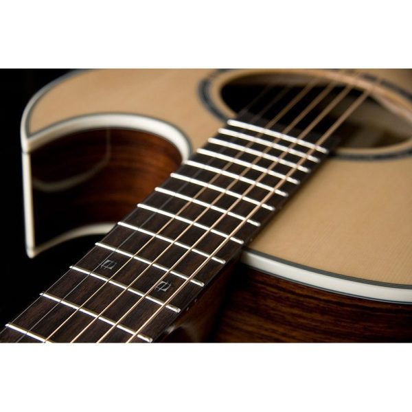 Washburn EA-20 Nuno Bettencourt - Image 5