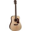 Washburn Heritage D-10S