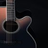 Takamine LTD 2024 - Image 7