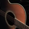 Takamine LTD 2024 - Image 8